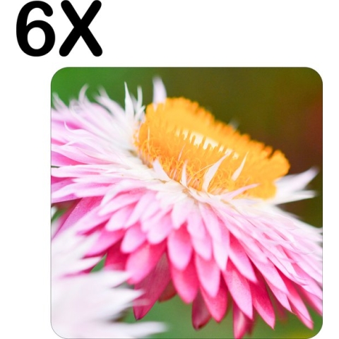BWK Flexibele Placemat - Roze met Gele Bloem in de Natuur - Set van 6 Placemats - 40x40 cm - PVC Doek - Afneembaar