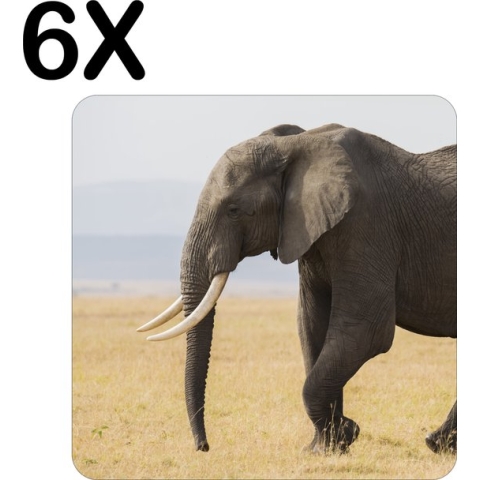 BWK Flexibele Placemat - Lopende Olifant in het Wild - Set van 6 Placemats - 50x50 cm - PVC Doek - Afneembaar