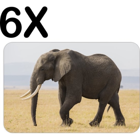 BWK Stevige Placemat - Lopende Olifant in het Wild - Set van 6 Placemats - 45x30 cm - 1 mm dik Polystyreen - Afneembaar