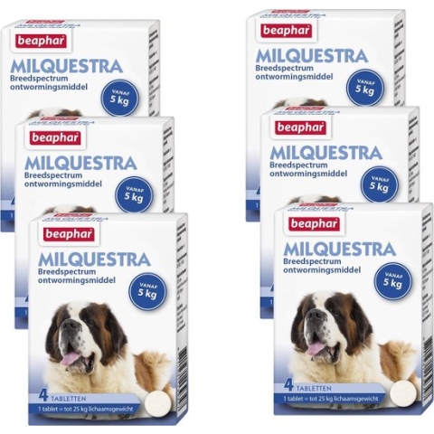 Beaphar Milquestra Hond - Anti wormenmiddel - 6 x 4 tab 5 Tot 75 Kg