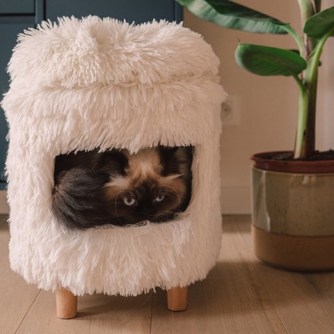 Duvoplus - Dierenhuis - Kat - Kattenhuis Met Lange Plush 31x31x34cm Wit - 1st