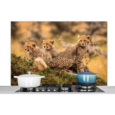 Spatscherm Keuken - Kookplaat Achterwand - Spatwand Fornuis - 120x80 cm - Luipaard - Bos - Dier - Aluminium - Wanddecoratie - Muurbeschermer - Hittebestendig