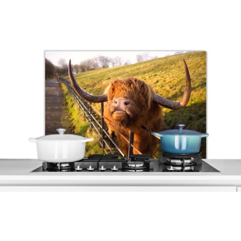 Spatscherm Keuken - Kookplaat Achterwand - Spatwand Fornuis - 80x55 cm - Schotse Hooglander - Hek - Gras - Aluminium - Wanddecoratie - Muurbeschermer - Hittebestendig