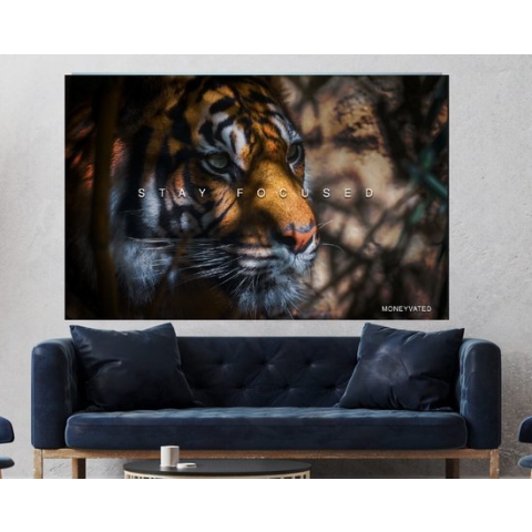 Stay Focused Tiger - Canvas Met Zwarte Baklijst | Motivatie | 50 x 70 cm | Motivational | Hustle | Grind | Execute | Canvas schilderij | Woonkamer | Kantoor | Wanddecoratie