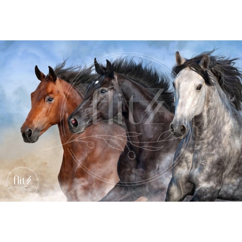 100% Nederlandse Productie! │ Diamond Painting │ Wilde Paarden 01 │ Formaat 120 x 80 cm │ Diamond Painting Pakket Volwassen │ Volledige bedekking │ Vierkant │ Full │ Flitzz Diamond Painting