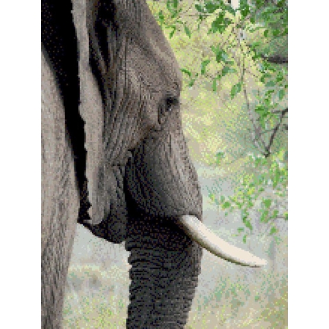 MyHobby Borduurpakket – Olifant 30×40 cm - Aida stof 5,5 kruisjes/cm (14 count)