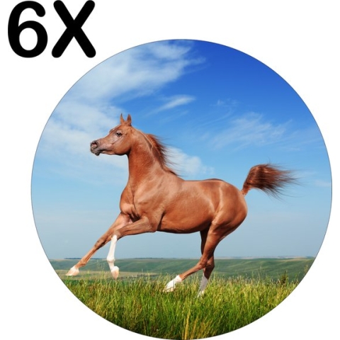 BWK Luxe Ronde Placemat - Paard Gallopperend door het Groene Gras - Set van 6 Placemats - 40x40 cm - 2 mm dik Vinyl - Anti Slip - Afneembaar