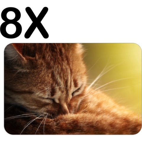 BWK Luxe Placemat - Slapende Oranje Poes - Kat - Set van 8 Placemats - 45x30 cm - 2 mm dik Vinyl - Anti Slip - Afneembaar