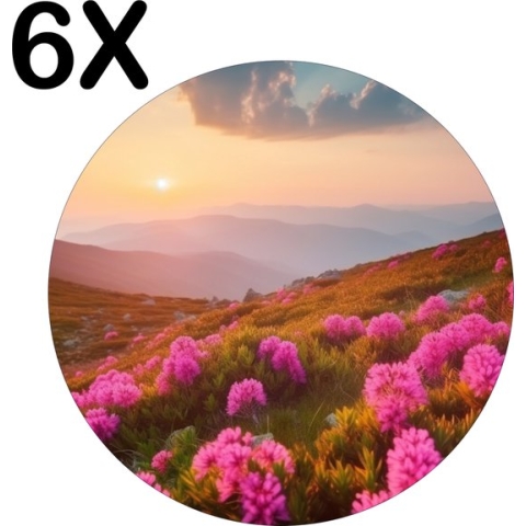 BWK Stevige Ronde Placemat - Roze Bloemen op een Berg bij Zonsondergang - Set van 6 Placemats - 50x50 cm - 1 mm dik Polystyreen - Afneembaar