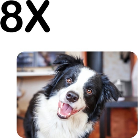 BWK Stevige Placemat - Vrolijke Bordecollie - Hond - Set van 8 Placemats - 40x30 cm - 1 mm dik Polystyreen - Afneembaar