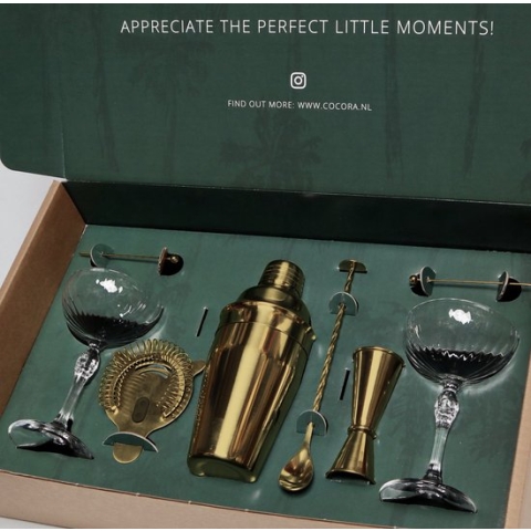 Cocora Martini Set - 9-delige RVS Cocktail Set - Cocktail Shaker - Martini Coupe Glazen - Cocktail Boek - Luxe Cadeauverpakking - Goud