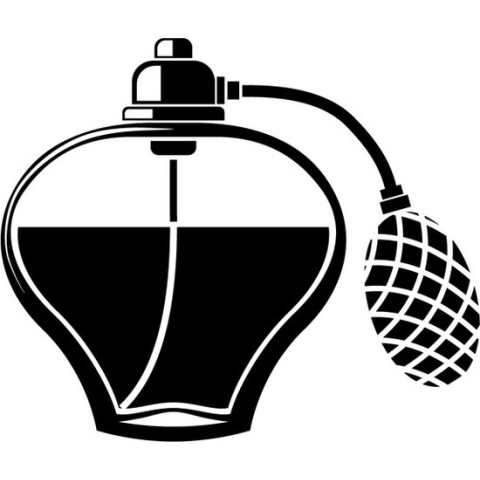 Aigner Parfums - Cara Mia Eau De Parfum 100ML