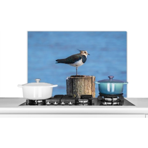 Spatscherm Keuken - Kookplaat Achterwand - Spatwand Fornuis - 90x60 cm - Vogel - Dieren - Paal - Blauw - Kievit - Aluminium - Wanddecoratie - Muurbeschermer - Hittebestendig