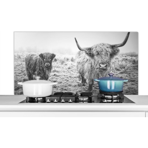 Spatscherm Keuken - Kookplaat Achterwand - Spatwand Fornuis - 120x60 cm - Schotse hooglanders - Licht - Lucht - Natuur - Aluminium - Wanddecoratie - Muurbeschermer - Hittebestendig