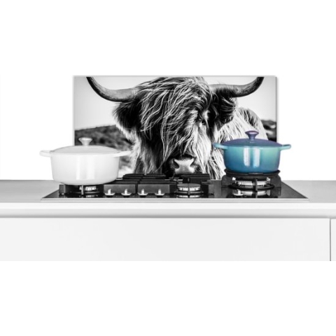Spatscherm Keuken - Kookplaat Achterwand - Spatwand Fornuis - 70x30 cm - Koe - Schotse hooglander - Zwart - Wit - Dier - Natuur - Wild - Aluminium - Wanddecoratie - Muurbeschermer - Hittebestendig