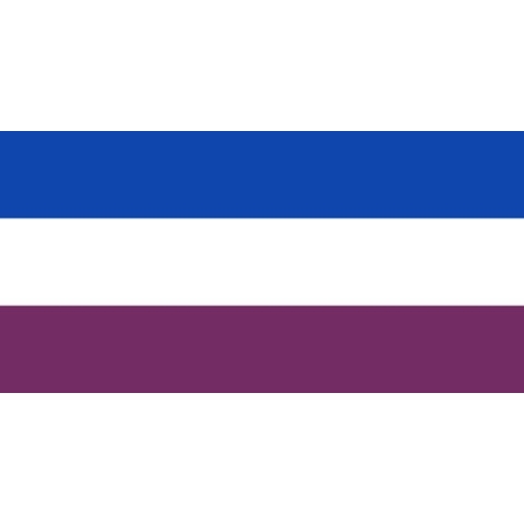 Vlag Montigny-le-Tilleul 200x300cm