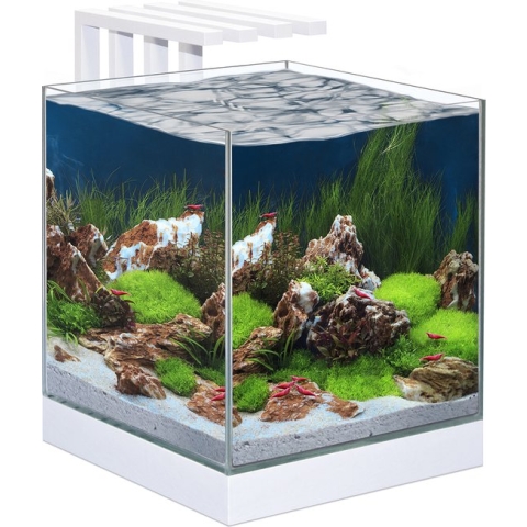 Ciano Nexus Pure 25 Aquarium - 29x29x29 - 22L - Wit