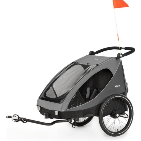 Hauck 2in1 Fietskar Buggy DRYK DUO Twee Kinderen Snelkoppeling XL Opbergruimte Opvouwbaar, grijs