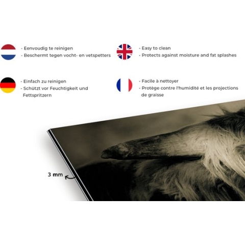 Spatscherm Keuken - Kookplaat Achterwand - Spatwand Fornuis - 120x80 cm - Schotse Hooglander - Dieren - Haar - Aluminium - Wanddecoratie - Muurbeschermer - Hittebestendig