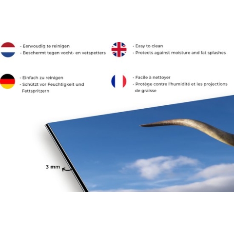 Spatscherm Keuken - Kookplaat Achterwand - Spatwand Fornuis - 120x60 cm - Schotse Hooglander - Dieren - Gras - Aluminium - Wanddecoratie - Muurbeschermer - Hittebestendig