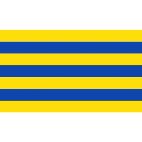Vlag Wellen 150x225cm