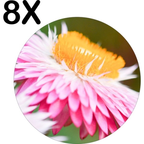 BWK Flexibele Ronde Placemat - Roze met Gele Bloem in de Natuur - Set van 8 Placemats - 40x40 cm - PVC Doek - Afneembaar