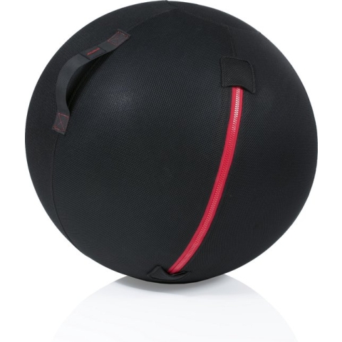 Gymstick Office Ball - 65 cm - Met Online Trainingsvideo's
