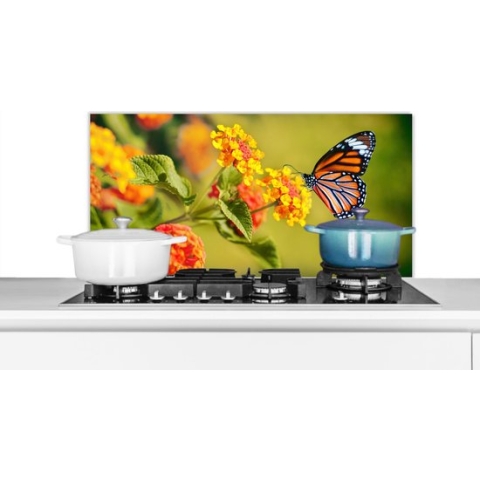 KitchenYeah - Spatscherm - Keuken achterwand - Spatscherm dieren - Vlinders - Bloemen - Natuur - Oranje - 80x40 cm - Spatscherm vlinder - Muurbeschermer