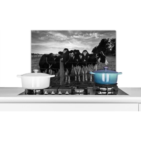 KitchenYeah - Spatscherm keuken - Koeien - Dieren - Boerderij - Keuken - Zwart - Wit - Muurdecoratie - Spatwand - 70x50 cm