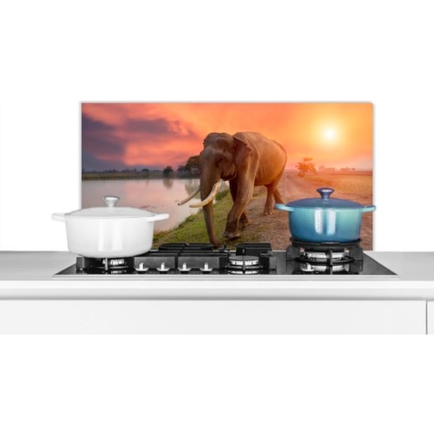 Spatscherm Keuken - Kookplaat Achterwand - Spatwand Fornuis - 90x45 cm - Olifant loopt richting het meer - Aluminium - Wanddecoratie - Muurbeschermer - Hittebestendig