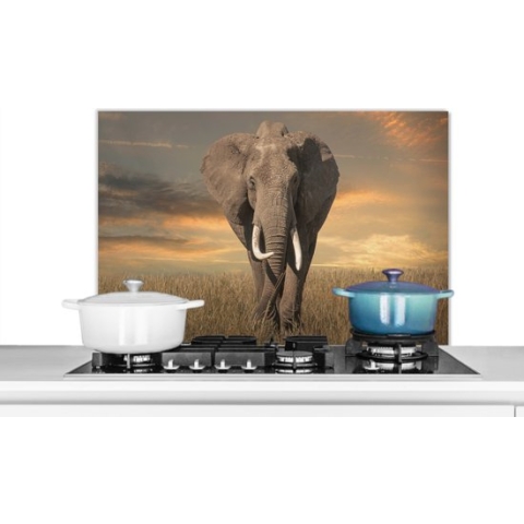 Spatscherm Keuken - Kookplaat Achterwand - Spatwand Fornuis - 80x55 cm - Grazende olifant - Aluminium - Wanddecoratie - Muurbeschermer - Hittebestendig
