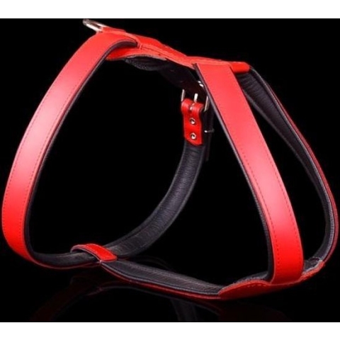 Dog's Companion - Dog's Companion Leren Harnas - hondentuigje - 69-78cmx30 mm - Rood - Leren hondentuig