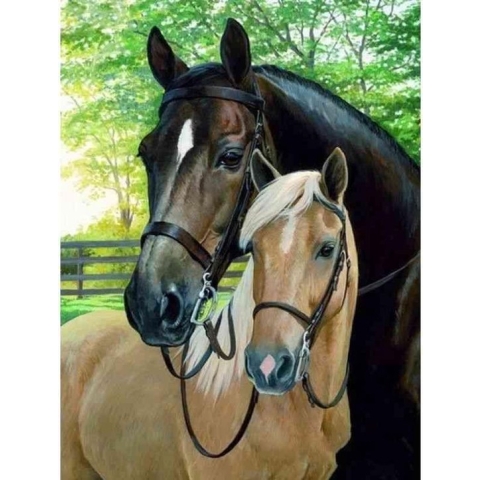 Diamond painting - Twee prachtige paarden - Geproduceerd in Nederland - 40 x 60 cm - canvas materiaal - vierkante steentjes - Binnen 2-3 werkdagen in huis