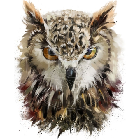 100% Nederlandse Productie! │ Diamond Painting │ Aquarel Uil 02│ Formaat 80 x 100 cm │ Diamond Painting Pakket Volwassen │ Volledige bedekking │ Vierkant │ Full │ Flitzz Diamond Painting