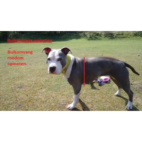 Hondentuig - Ibiza - Neon roze - Maat S - Anti trek hondentuig - Tuig voor honden - Tuigje