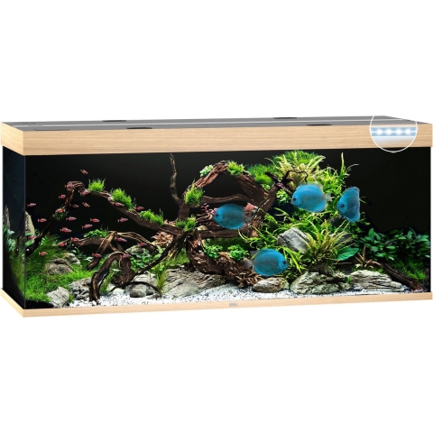 Juwel Aquarium Rio 450 Led 151x51x61 cm - Aquaria - Licht Hout