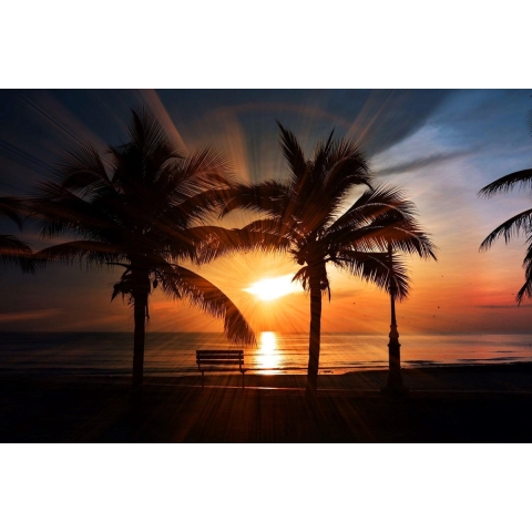 100% Nederlandse Productie! │ Diamond Painting │ Palmbomen bij Zonsondergang │ Formaat 90 x 60 cm │ Diamond Painting Pakket Volwassen │ Volledige bedekking │ Vierkant │ Full │ Flitzz Diamond Painting