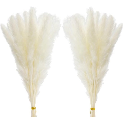 30 stuks pampasgras, 45 cm, natuurlijk pampasgras, gedroogd, wit, decoratief boeket droogbloemen voor woonkamer, slaapkamer, boho, tafeldecoratie bruiloft (wit)