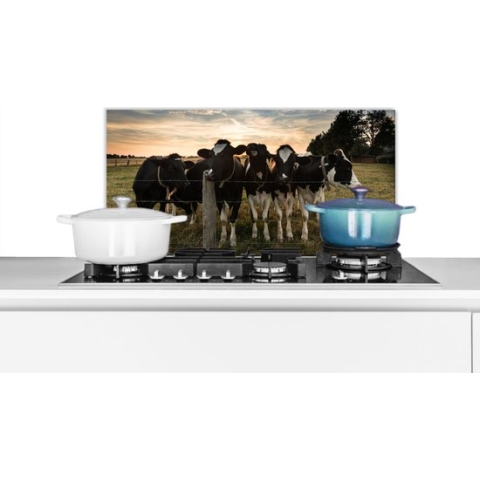 Spatscherm Keuken - Kookplaat Achterwand - Spatwand Fornuis - 70x30 cm - Dieren - Koe - Koeien - Aluminium - Wanddecoratie - Muurbeschermer - Hittebestendig