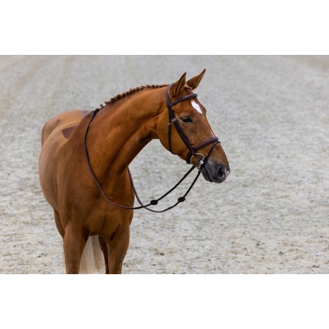 Trust Calgary Combined Noseband Bridle - Brown/Silver - Maat Full