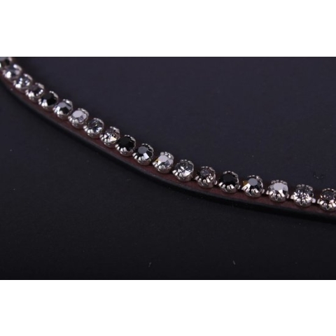 Presteq Frontriem Shinebright Zwart - middel