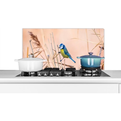 Spatscherm Keuken - Kookplaat Achterwand - Spatwand Fornuis - 80x40 cm - Vogel - Pimpelmees - Riet - Aluminium - Wanddecoratie - Muurbeschermer - Hittebestendig