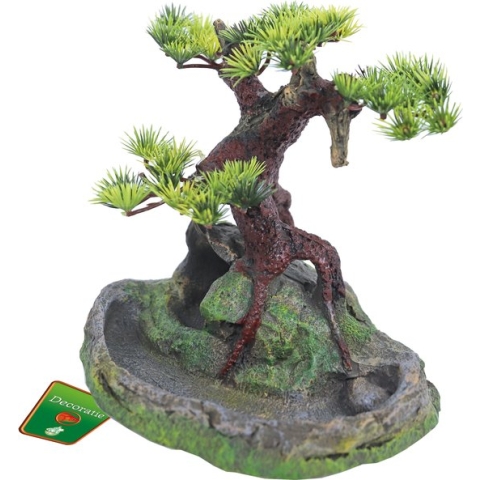 Bonsai Boom Op Rots - 17.5 cm