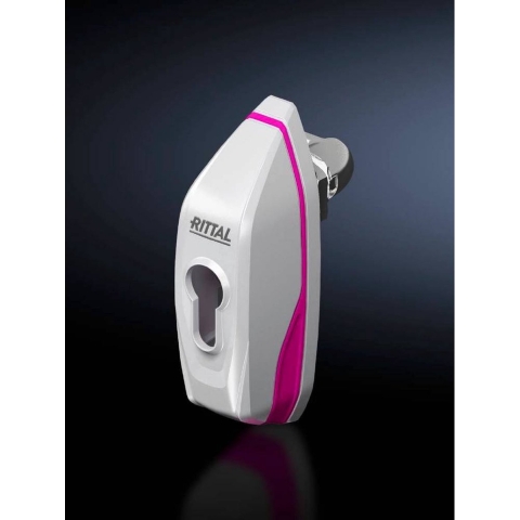 Rittal AX 2537.100 Knevelgreep Lichtgrijs 1 stuk(s)