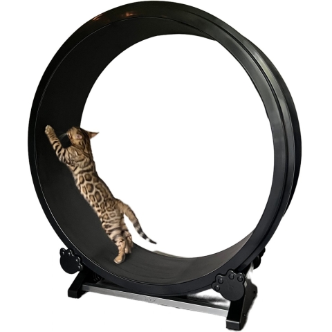 Petlux Looprad voor Katten - Zwart - 100 x 103 x 28 cm