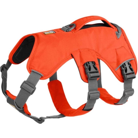 Ruffwear Web Master Harness - XS - Blaze Orange