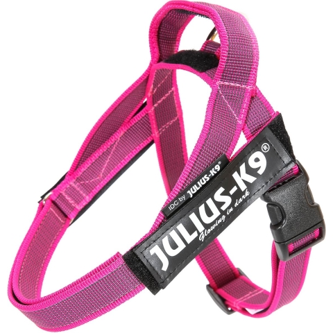 IDC Riemtuig Roze - Maat 3