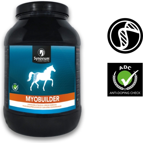 Synovium Myobuilder