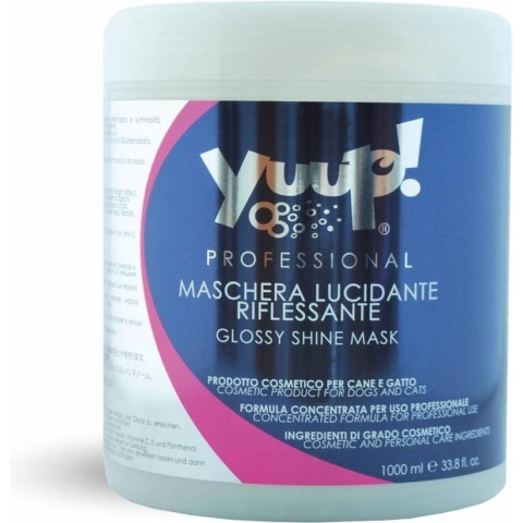 Glossy Shine Mask 1000 ml