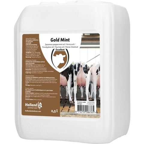 Gold Mint Grootverpakking Incl. Dosator